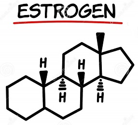 Эстроген может защитить от сердечных изменений при ЛАГ